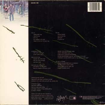 LP Violent Femmes: Hallowed Ground