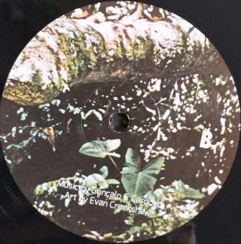 LP Visions Congo: Mulago Sound Studio