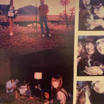 LP Vivian Girls: Everything Goes Wrong CLR | LTD