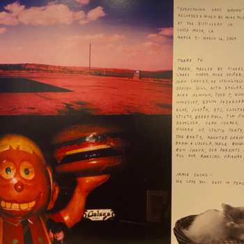 LP Vivian Girls: Everything Goes Wrong CLR | LTD