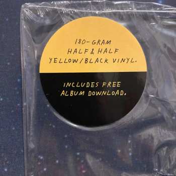 LP Vivian Girls: Everything Goes Wrong CLR | LTD