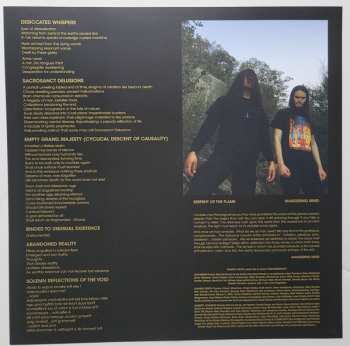 LP VoidCeremony: Entropic Reflections Continuum: Dimensional Unravel