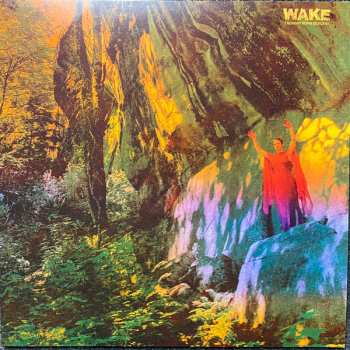 LP Wake: Thought Form Descent CLR | LTD
