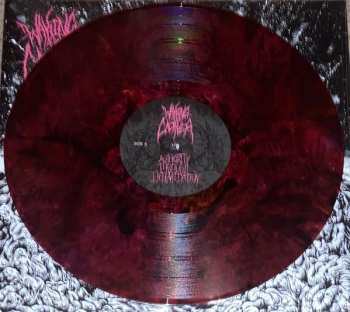 LP Waking The Cadaver: Authority Through Intimidation LTD | CLR