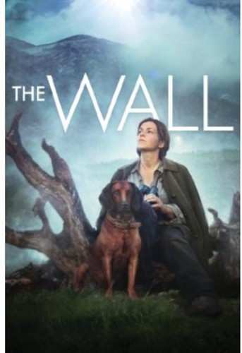 DVD Wall: Wall
