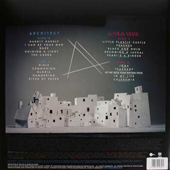 2LP/2CD Wallis Bird: Architect