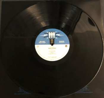 LP Wallows: Live At Third Man Records