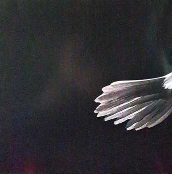 2LP Wardruna: Kvitravn