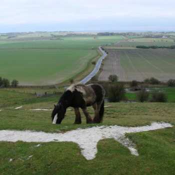 Album Way Through: Clapper Is Still