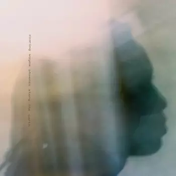 Wayne Phoenix: soaring wayne phoenix story the earth