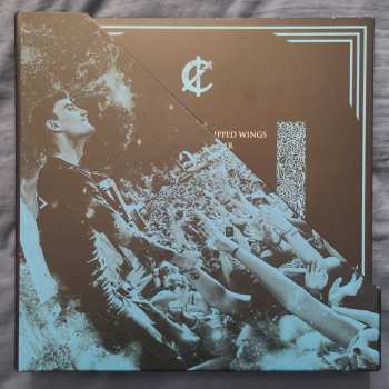 5LP/Box Set We Came As Romans: WCAR VIP Vinyl Box Set LTD | CLR