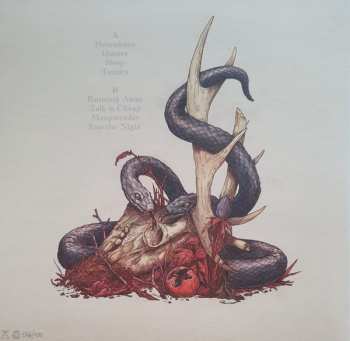 LP Weddings: Book Of Spells