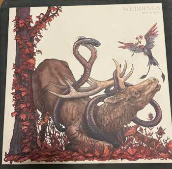 LP Weddings: Book Of Spells