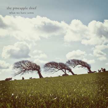 CD The Pineapple Thief: What We Have Sown DIGI