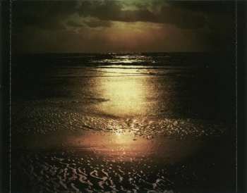 CD Whispers In The Shadow: Yesterday Is Forever