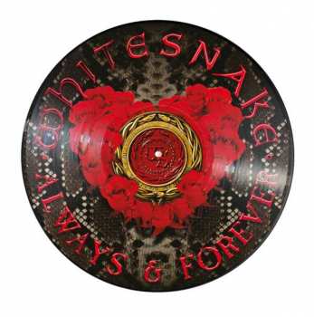LP Whitesnake: Always & Forever LTD | PIC