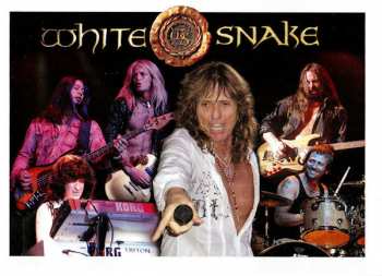 2CD/Box Set Whitesnake: Good To Be Bad LTD