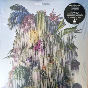 LP Wilco: Cousin