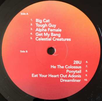 LP/SP Wild Beasts: Boy King DLX | LTD