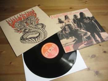 LP Wild Eyes: Get Into It!