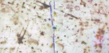 CD Wildbirds & Peacedrums: The Snake DIGI