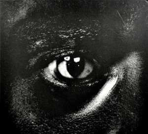2CD Wiley: Evolve Or Be Extinct