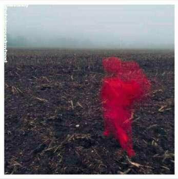 LP Will Varley: The Hole Around My Head LTD