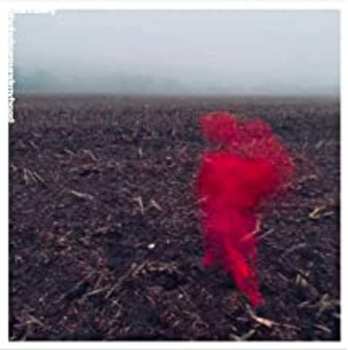 CD Will Varley: The Hole Around My Head