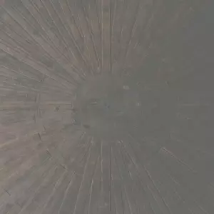 Selva Oscura