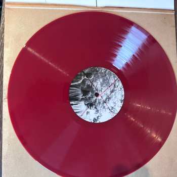 LP William The Conqueror: Excuse Me While I Vanish LTD | CLR