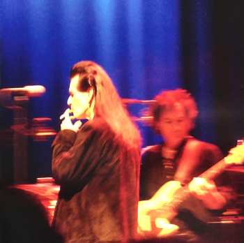CD Willy DeVille: Venus Of The Docks