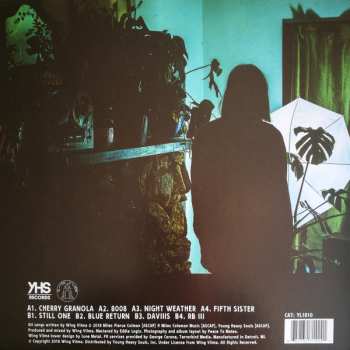 LP Wing Vilma: Safe By Night LTD