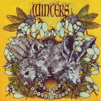 CD Winters: Black Clouds In Twin Galaxies
