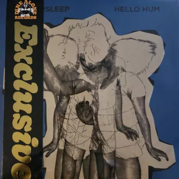 Wintersleep: Hello Hum