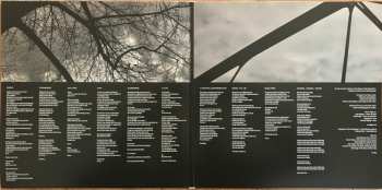 2LP Wires & Lights: A Chasm Here And Now LTD