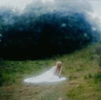 Album Wisp: If Not Winter