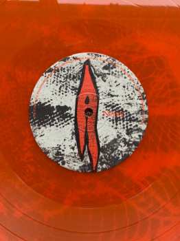 LP Witch Fever: Reincarnate LTD | CLR