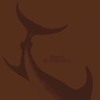 LP Witxes: Split