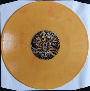 2LP Wobbler: Hinterland CLR