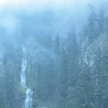 Wolves In The Throne Room: Diadem Of 12 Stars