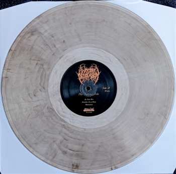 LP Woods Of Desolation: The Falling Tide CLR | LTD