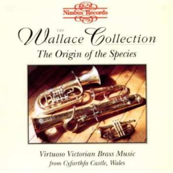 Album Wright / Wallace Collection: Music From Cyfarthfa Castle