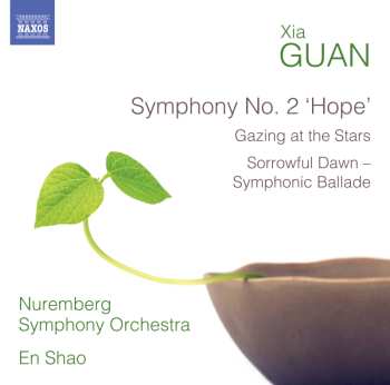 Album Nürnberger Symphoniker: Symphony No. 2 'Hope'
