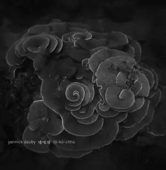 Yannick Dauby: 咾咕厝 ló​-​kó͘​-​chhù - Penghu Experimental Sound Studio Vol​.​2