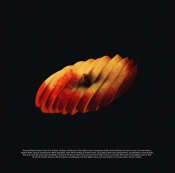 LP Younger Brother: The Last Days Of Gravity