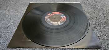 LP Zedd: Telos