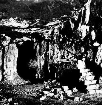 LP Zomes: Earth Grid