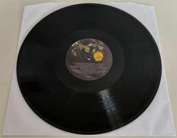 2LP Zwangere Guy: Pourriture Noble DLX | LTD