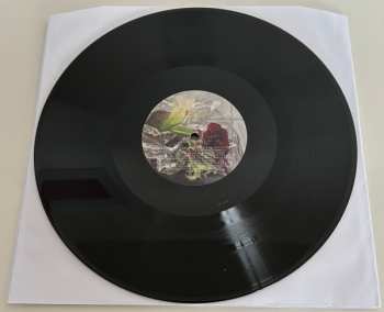 2LP Zwangere Guy: Pourriture Noble DLX | LTD